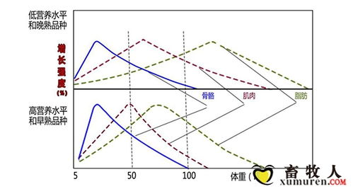 饲料ODM与物联网技术的融合研发与实践应用研究